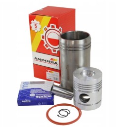 C 360 Andoria variklio remonto komplektas 55110018