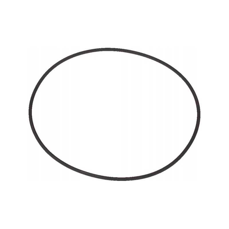 O-žiedo sandariklis