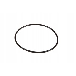 F385200210030 cilindro įdėklo sandariklis