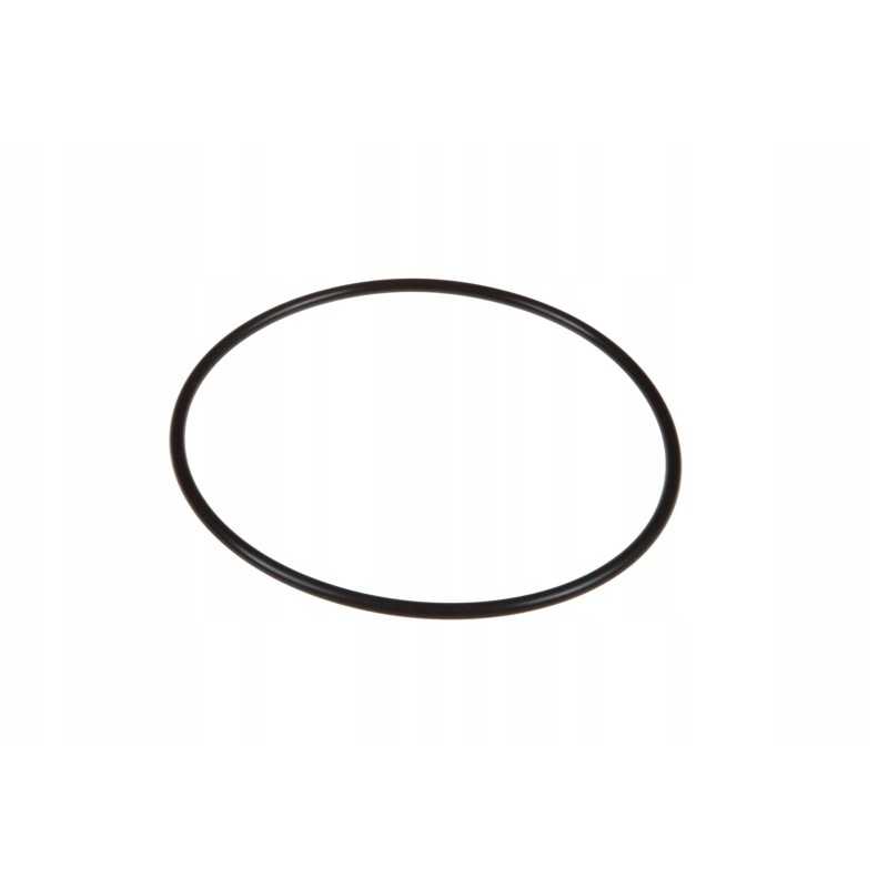 F385200210030 cilindro įdėklo sandariklis