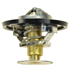 Termostatas casenew holland john deere tv 87 82 a
