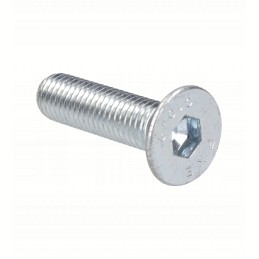 Originalus Manitou kaušo mentės varžtas 318156