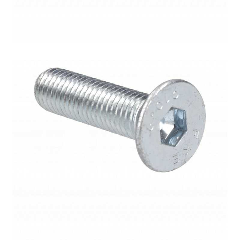 Originalus Manitou kaušo mentės varžtas 318156