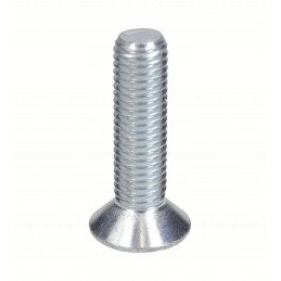 Originalus Manitou kaušo mentės varžtas 318156