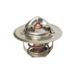 Termostatas Renault 54mm 74718043 granitas