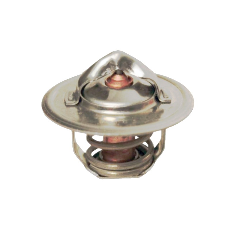 Termostatas Renault 54mm 74718043 granitas
