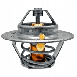 Termostatas Renault 54mm 74718043 granitas