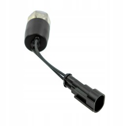 Slėgio jungiklis 60760114 granitas