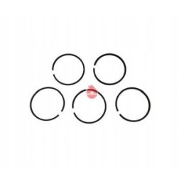 Stūmoklio žiedų komplektas 1 stūmoklis C 330 originalus