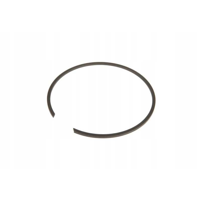 3001025x1 tvirtinimo žiedas