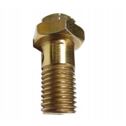 Įpurškimo siurblio slėgio vožtuvas, sriegis M 12