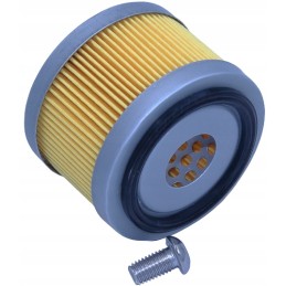 Oro filtro SA12655 alsuoklis