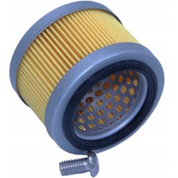 Oro filtro SA12655 alsuoklis