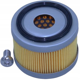 Oro filtro SA12655 alsuoklis