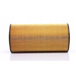 Alyvos filtras hifi fendt f926202510010 p550563