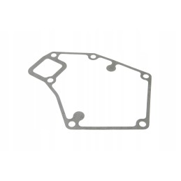 F824200610030 vandens siurblio tarpiklis