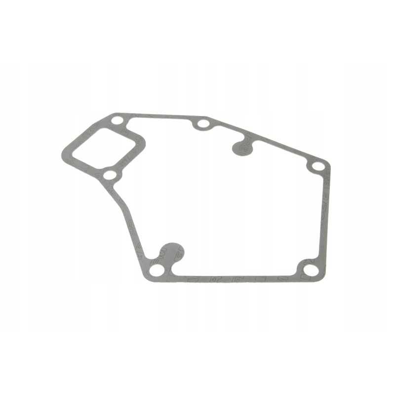 F824200610030 vandens siurblio tarpiklis