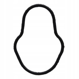 Dėklas ih 38017825 2830156 granitas