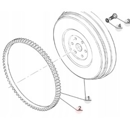 Manitou smagračio ratlankis 133632