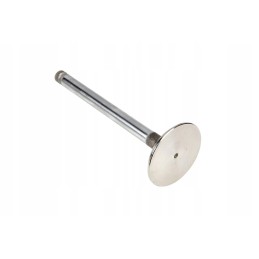 735820m1 įsiurbimo vožtuvas