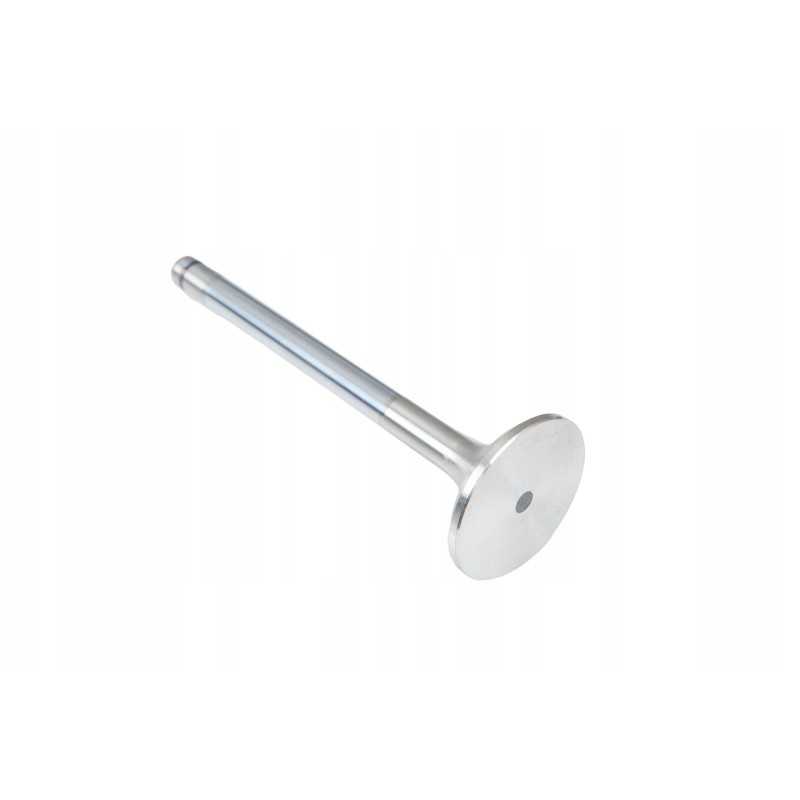 F824200410130 išmetimo vožtuvas