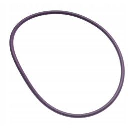 O žiedo sandariklio katė 5s6670