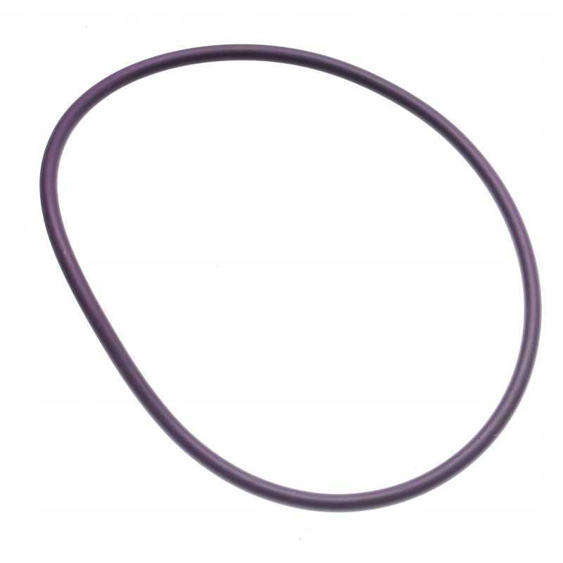 O žiedo sandariklio katė 5s6670