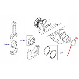 F718202310040 alkūninio veleno įvorė