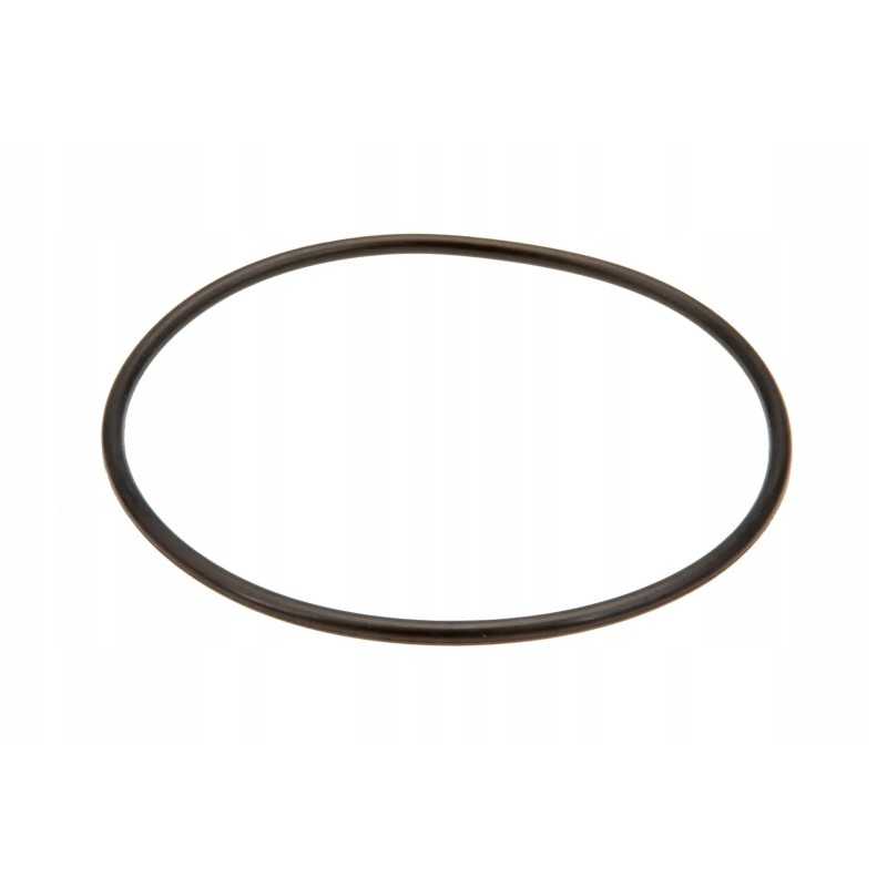 3901890m1 hidraulinio filtro sandarinimo žiedas