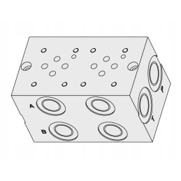 Vožtuvo plokštės blokas ng6 cetop 9 skyriai su vožtuvu