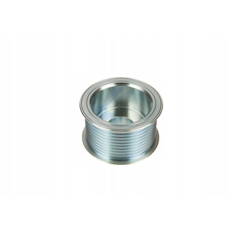 F934900010030 generatoriaus skriemulys