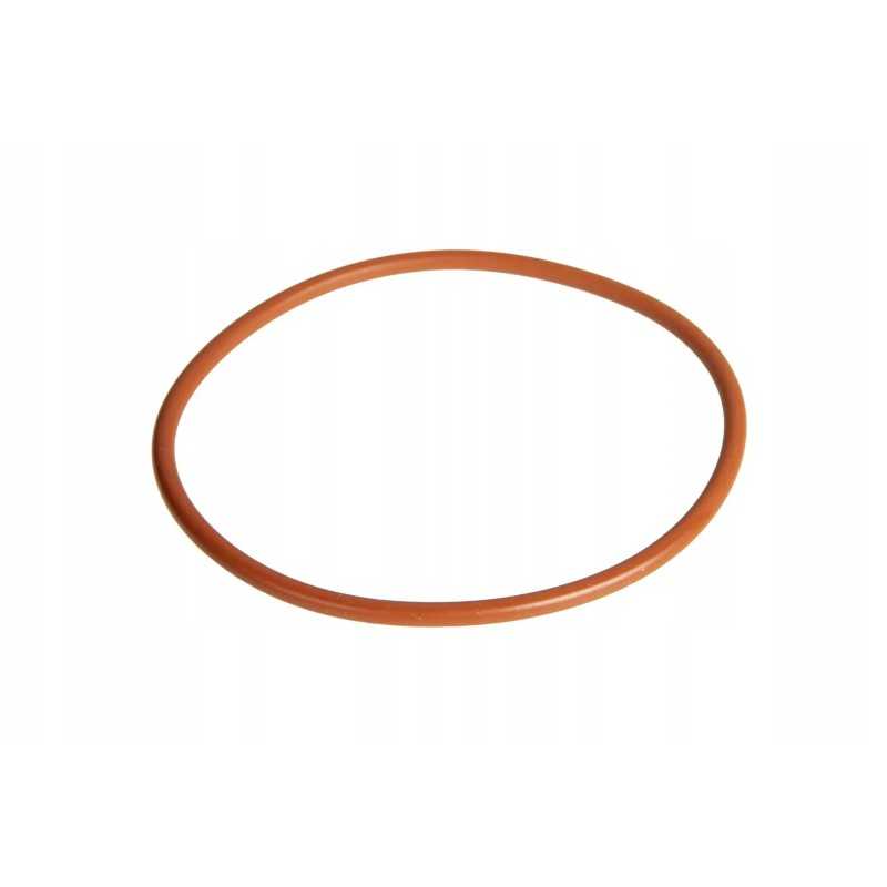 6005023411 įsiurbimo kolektoriaus sandarinimo žiedas 58 4 x 2 62