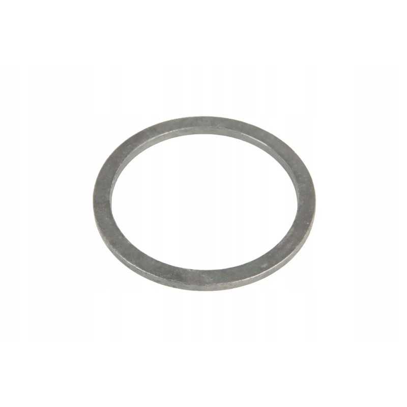 F718301020250 priekinio rato guolio poveržlė