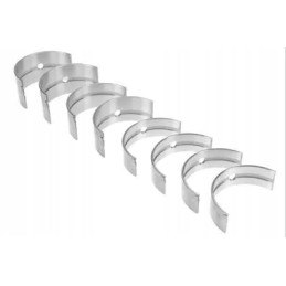 Pagrindinių švaistiklio guolių komplektas