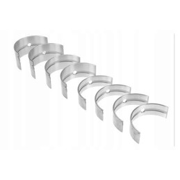 Pagrindinių švaistiklio guolių komplektas