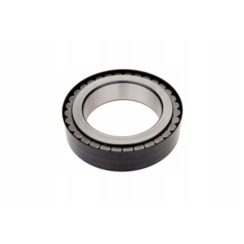 X621431500005 palydovinis rato guolis