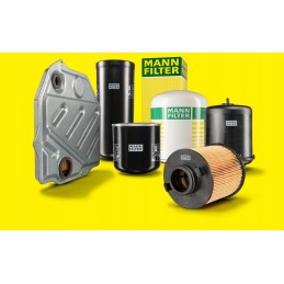 Renault scenic mann filtro salono filtras