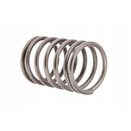 1673018m1 agco suspaudimo spyruoklė