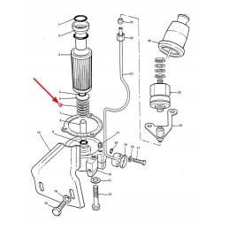 1673018m1 agco suspaudimo spyruoklė
