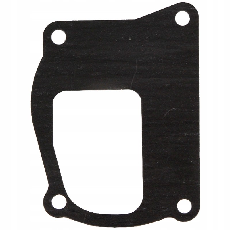 Vandens siurblio tarpiklis fiat ford new holland 4599561