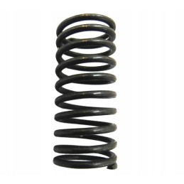 Tiekimo siurblio stūmoklio spyruoklė, skirta c 360 c 330 v2