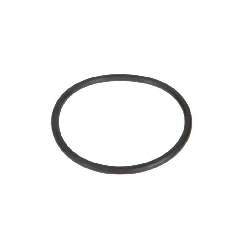 3009744x1 sandarinimo žiedas