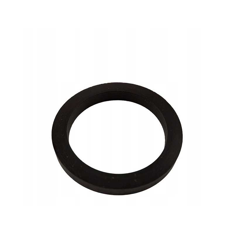 Alyvos siurblio sandariklio sandariklis mf 3389745m1