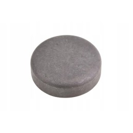 F119200210070 variklio angos kaištis