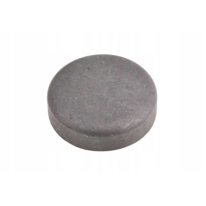 F119200210070 variklio angos kaištis