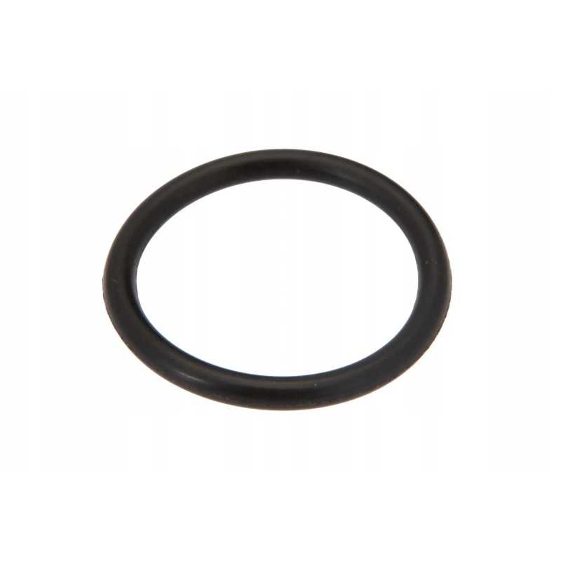 6005021409 O formos žiedas 15 6 x 1 78 mm