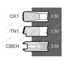 Perkins 1004 4 1006 mf 100mm variklio žiedai