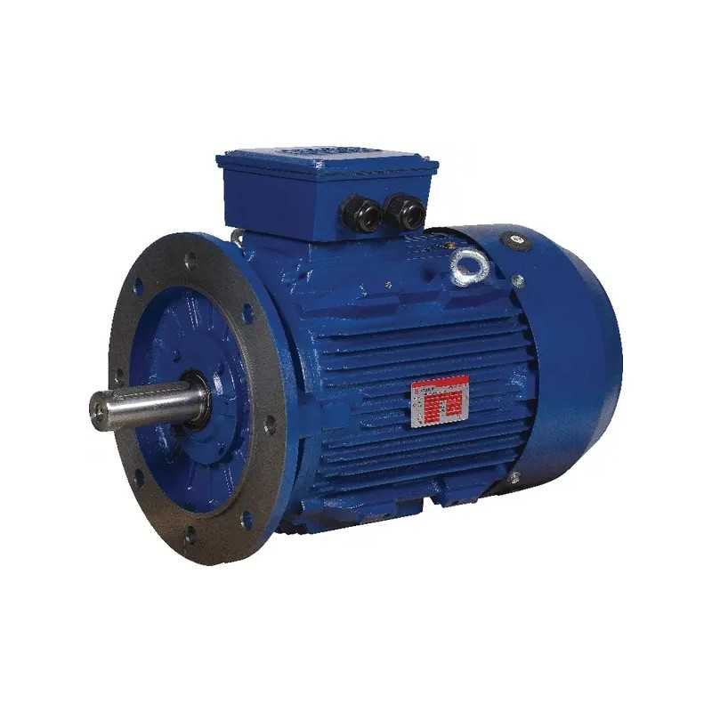 5 5 kW elektros variklis