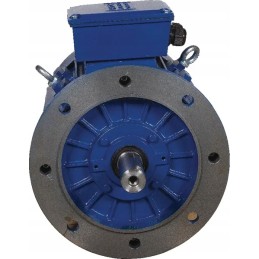 5 5 kW elektros variklis