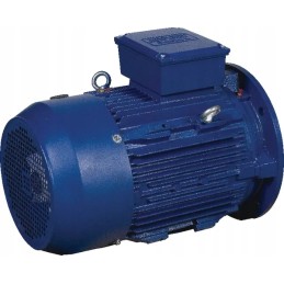 5 5 kW elektros variklis